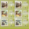 Juego Bíblico Imagen e Historia | PowerPoint