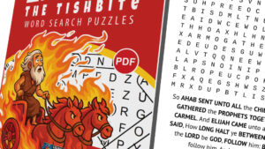 Elijah the Tishbite Word Search Puzzles – 89 Large-Print Scripture Puzzles (KJV)