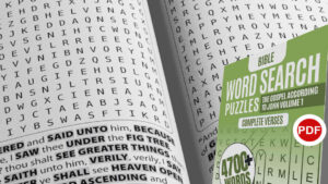 Bible Word Search Puzzles: The Gospel According to John – Volume 1